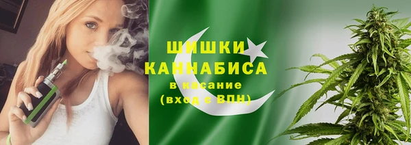 стаф Козельск