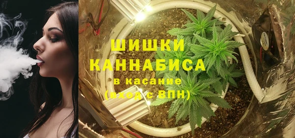 ГАЛЛЮЦИНОГЕННЫЕ ГРИБЫ Аркадак