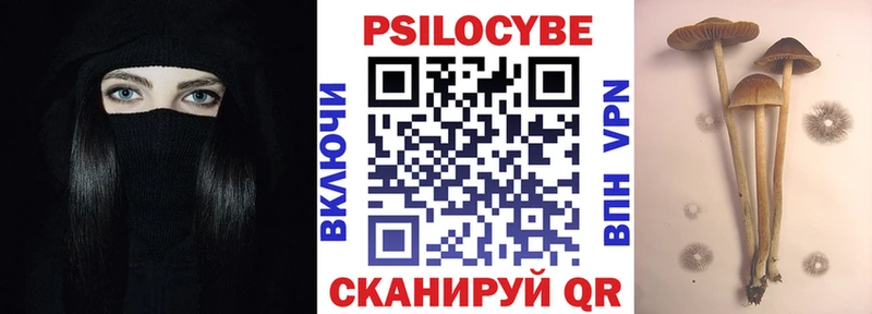где продают наркотики  Снежногорск  Псилоцибиновые грибы прущие грибы 